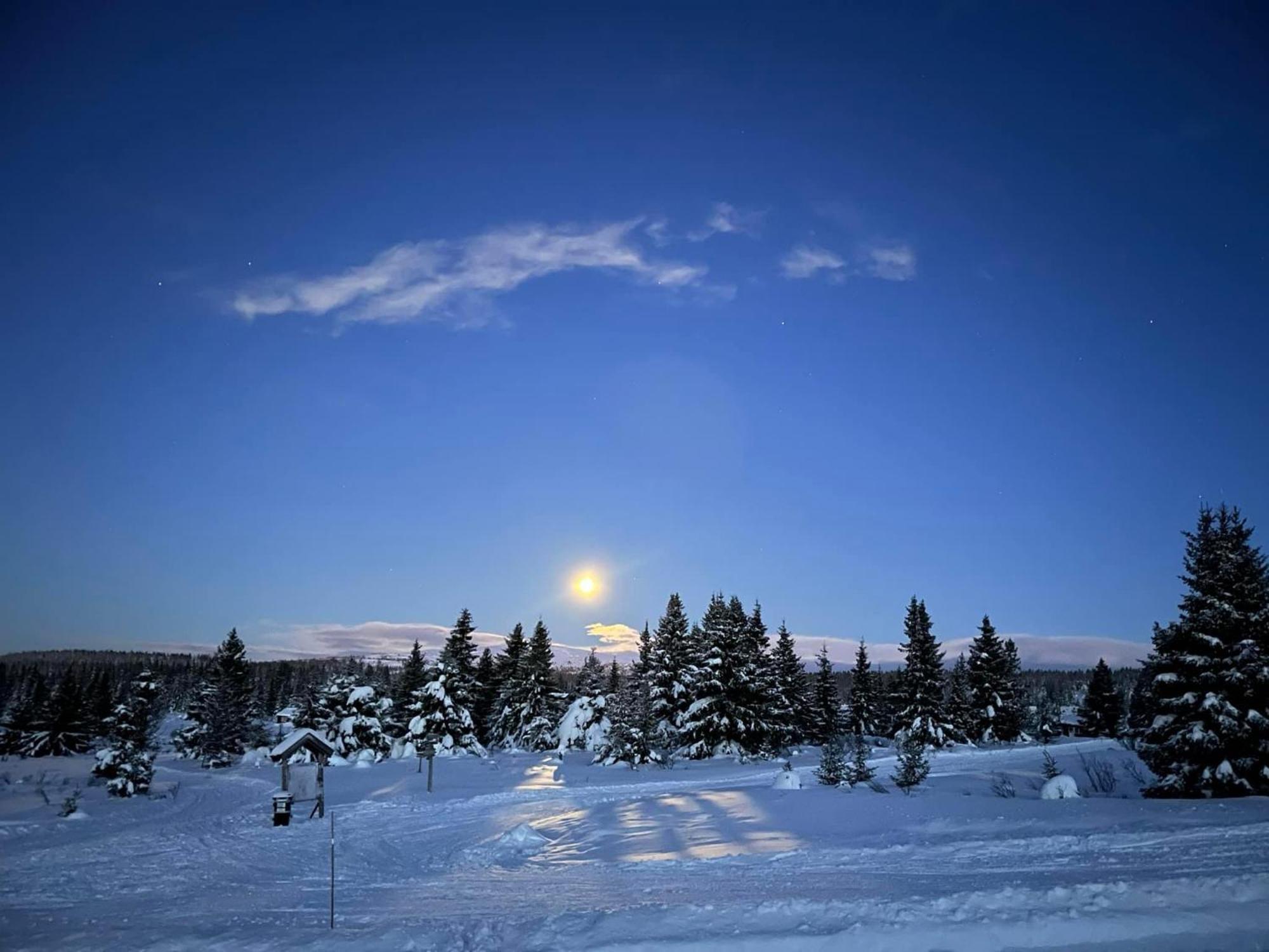 Nordseter Fjellpark, Hyttegrend Εξωτερικό φωτογραφία